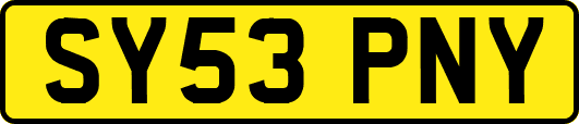 SY53PNY