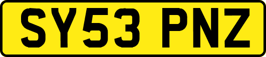 SY53PNZ