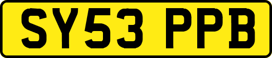 SY53PPB