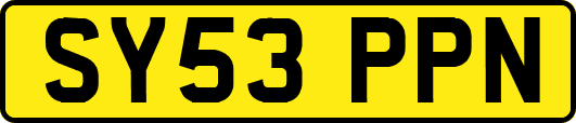 SY53PPN