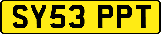 SY53PPT