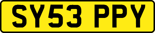 SY53PPY