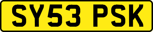SY53PSK