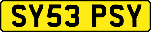 SY53PSY