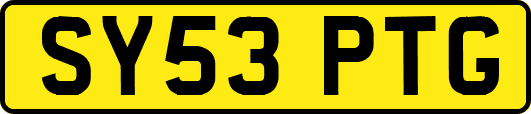 SY53PTG
