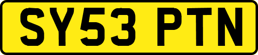 SY53PTN