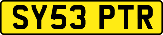 SY53PTR