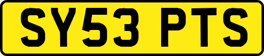 SY53PTS