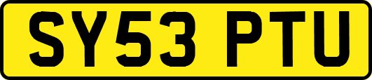 SY53PTU