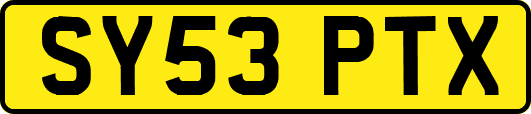 SY53PTX