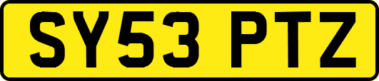 SY53PTZ