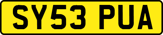 SY53PUA