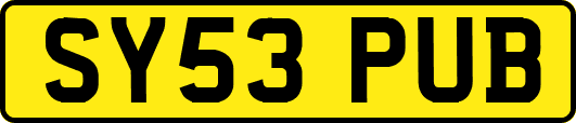 SY53PUB