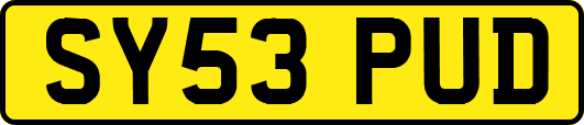 SY53PUD