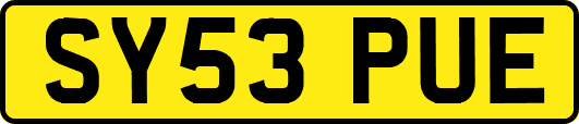 SY53PUE