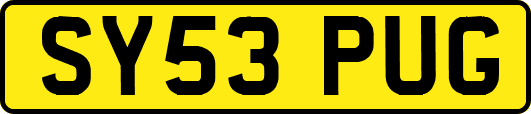 SY53PUG