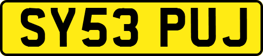 SY53PUJ