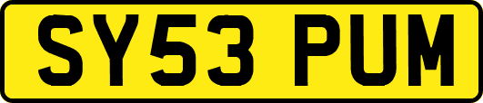 SY53PUM