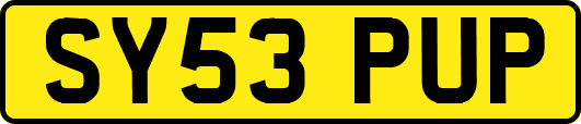 SY53PUP
