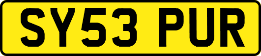 SY53PUR
