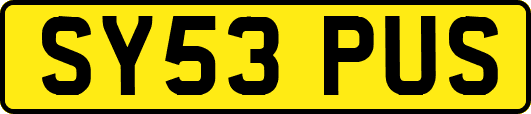 SY53PUS