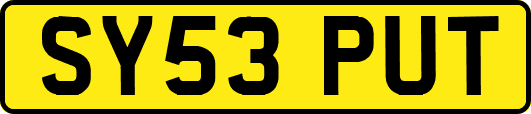 SY53PUT