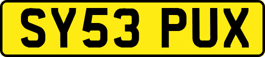 SY53PUX