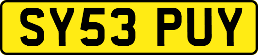 SY53PUY