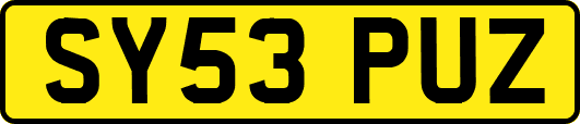 SY53PUZ