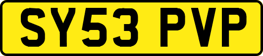 SY53PVP