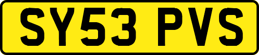 SY53PVS