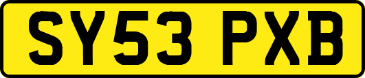 SY53PXB