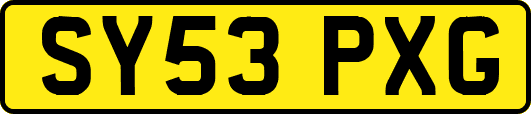 SY53PXG