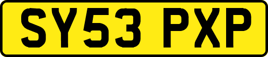 SY53PXP