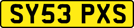 SY53PXS