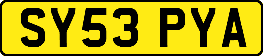 SY53PYA