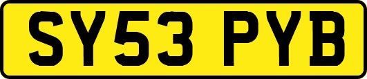 SY53PYB