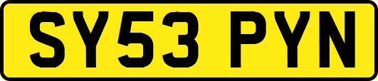 SY53PYN
