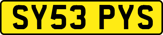SY53PYS