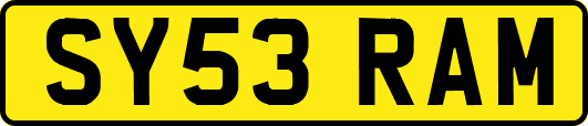 SY53RAM
