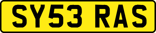 SY53RAS