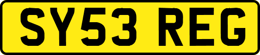 SY53REG