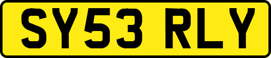 SY53RLY