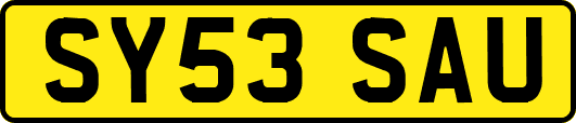 SY53SAU