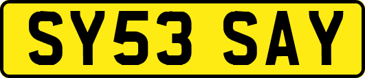 SY53SAY