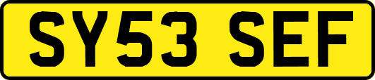 SY53SEF