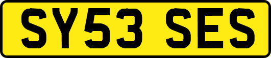SY53SES