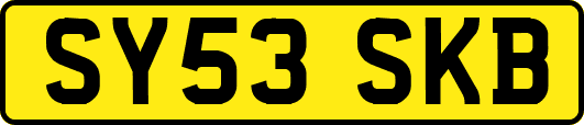 SY53SKB