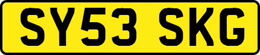SY53SKG