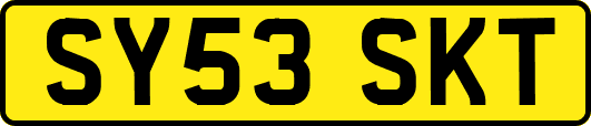 SY53SKT
